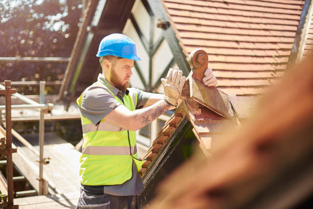 Best Roof Gutter Cleaning  in Ainaloa, HI