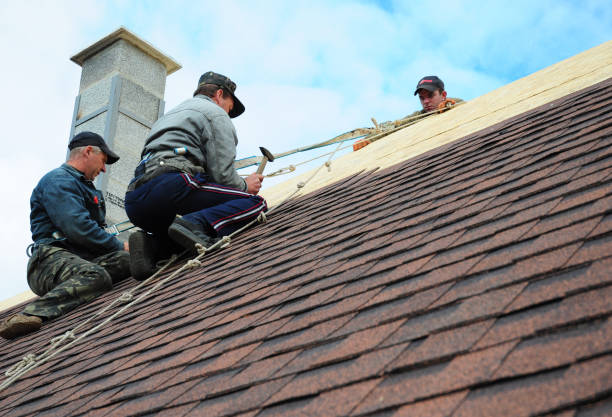 Best Best Roofing Contractors  in Ainaloa, HI