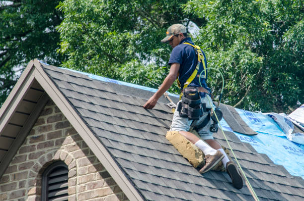 Best Metal Roofing Contractor  in Ainaloa, HI